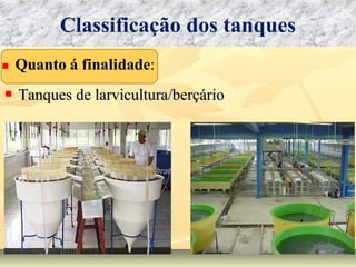  Tanques de larvicultura/berçárioTanques de larvicultura/berçário
Classificação dos tanques
 