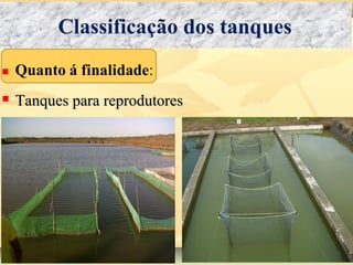Classificação dos tanques
 Tanques para reprodutoresTanques para reprodutores
 