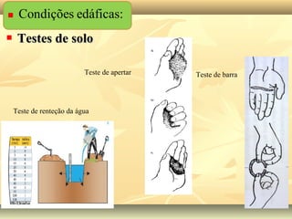  Testes de soloTestes de solo
Teste de renteção da água
Teste de barraTeste de apertar
 
