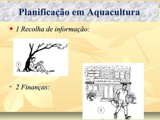  1 Recolha de informação:1 Recolha de informação:
 2 Finanças:2 Finanças:
Planificação em Aquacultura
 