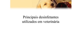Principais desinfetantes
utilizados em veterinária
 