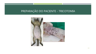 PREPARAÇÃO DO PACIENTE - TRICOTOMIA
121
 