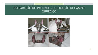 PREPARAÇÃO DO PACIENTE – COLOCAÇÃO DE CAMPO
CIRÚRGICO
131
 