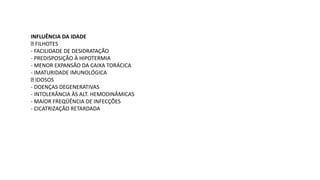 INFLUÊNCIA DA IDADE
FILHOTES
- FACILIDADE DE DESIDRATAÇÃO
- PREDISPOSIÇÃO À HIPOTERMIA
- MENOR EXPANSÃO DA CAIXA TORÁCICA
- IMATURIDADE IMUNOLÓGICA
IDOSOS
- DOENÇAS DEGENERATIVAS
- INTOLERÂNCIA ÀS ALT. HEMODINÂMICAS
- MAIOR FREQÜÊNCIA DE INFECÇÕES
- CICATRIZAÇÃO RETARDADA
 