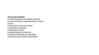 NA SALA DE CIRURGIA
POSICIONAMENTO DO ANIMAL NA MESA
SUPERFÍCIE MESA: EMBORRACHADA e MACIA
CALHAS
INDUÇÃO DA ANESTESIA GERAL
SONDAGEM TRAQUEAL
SONDAGEM VESICAL
MONITORAÇÃO DO PACIENTE
MANTER TEMPERATURA CORPÓREA
ANTISSEPSIA DE CAMPO OPERATÓRIO
 