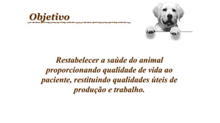 Restabelecer a saúde do animal
proporcionando qualidade de vida ao
paciente, restituindo qualidades úteis de
produção e trabalho.
Objetivo
 