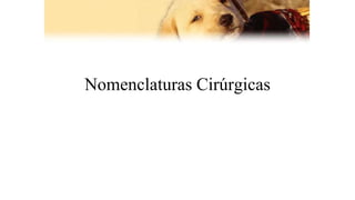 Nomenclaturas Cirúrgicas
 