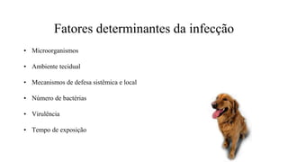 Fatores determinantes da infecção
• Microorganismos
• Ambiente tecidual
• Mecanismos de defesa sistêmica e local
• Número de bactérias
• Virulência
• Tempo de exposição
 