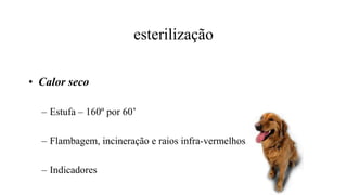 esterilização
• Calor seco
– Estufa – 160º por 60’
– Flambagem, incineração e raios infra-vermelhos
– Indicadores
 
