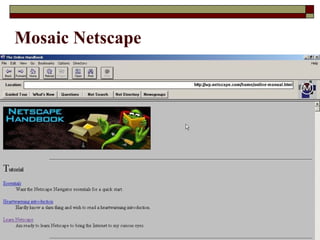 Mosaic Netscape
 
