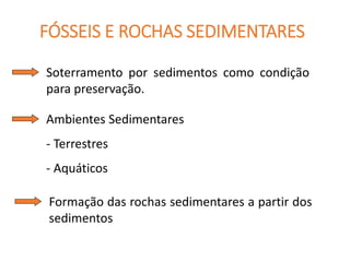 FÓSSEIS E ROCHAS SEDIMENTARES
Soterramento por sedimentos como condição
para preservação.
Ambientes Sedimentares
- Terrestres
- Aquáticos
Formação das rochas sedimentares a partir dos
sedimentos
 