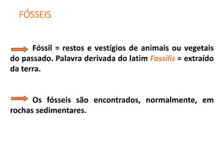 FÓSSEIS
Fóssil = restos e vestígios de animais ou vegetais
do passado. Palavra derivada do latim Fossilis = extraído
da terra.
Os fósseis são encontrados, normalmente, em
rochas sedimentares.
 
