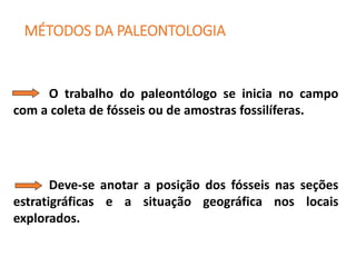 MÉTODOS DA PALEONTOLOGIA
O trabalho do paleontólogo se inicia no campo
com a coleta de fósseis ou de amostras fossilíferas.
Deve-se anotar a posição dos fósseis nas seções
estratigráficas e a situação geográfica nos locais
explorados.
 