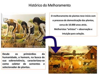 Histórico do Melhoramento
Desde os primórdios da
humanidade, o homem, na busca de
sua sobrevivência, caracterizou-se
como coletor de sementes e
selecionador de plantas.
O melhoramento de plantas teve início com
o processo de domesticação das plantas,
cerca de 10.000 anos atrás.
Melhoristas “artistas” = observação e
intuição para seleção.
 