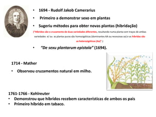 • 1694 - Rudolf Jakob Camerarius
• Primeiro a demonstrar sexo em plantas
• Sugeriu métodos para obter novas plantas (hibridação)
(“Híbridos são o cruzamento de duas variedades diferentes, resultando numa planta com traços de ambas
variedades e/ ou as plantas puras são homozigóticas (dominantes AA ou recessivas aa) e as híbridas são
as heterozigóticas (Aa)”.)
• “De sexu plantarum epistola” (1694).
1714 - Mather
• Observou cruzamentos natural em milho.
1761-1766 - Kohlreuter
• Demonstrou que híbridos recebem características de ambos os pais
• Primeiro híbrido em tabaco.
 