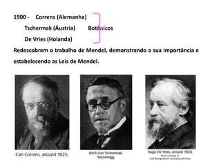 1900 - Correns (Alemanha)
Tschermak (Áustria) Botânicos
De Vries (Holanda)
Redescobrem o trabalho de Mendel, demonstrando a sua importância e
estabelecendo as Leis de Mendel.
 