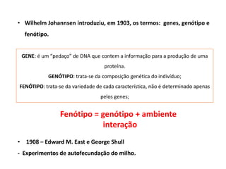 • 1908 – Edward M. East e George Shull
- Experimentos de autofecundação do milho.
• Wilhelm Johannsen introduziu, em 1903, os termos: genes, genótipo e
fenótipo.
GENE: é um “pedaço” de DNA que contem a informação para a produção de uma
proteína.
GENÓTIPO: trata-se da composição genética do indivíduo;
FENÓTIPO: trata-se da variedade de cada característica, não é determinado apenas
pelos genes;
Fenótipo = genótipo + ambiente
interação
 