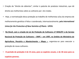• Criação do “direito do obtentor”, similar à patente de produtos industriais, que dá
direito aos melhoristas sobre as cultivares por ele criadas.
• Hoje, a normatização dessa proteção ao trabalho de melhoristas e/ou da empresa de
melhoramento genético é feita e coordenada, internacionalmente, pela International
Union for the Protection of New Varieties of Plants - UPOV.
• No Brasil, com a criação da Lei de Proteção de Cultivares nº 9456/97 e do Serviço
Nacional de Proteção de Cultivares – SNPC – em 1997, no âmbito do Ministério de
Agricultura, Pecuária e Abastecimento – Mapa –, organizou-se para executar a
proteção de novas cultivares.
• O período de proteção é de 15 anos, para as espécies anuais, e de 18 anos para as
espécies perenes.
 