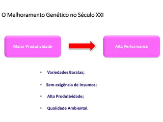 O Melhoramento Genético no Século XXI
Maior Produtividade Alta Performance
• Variedades Baratas;
• Sem exigência de Insumos;
• Alta Produtividade;
• Qualidade Ambiental.
 
