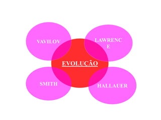 EVOLUÇÃO
VAVILOV
SMITH HALLAUER
LAWRENC
E
 