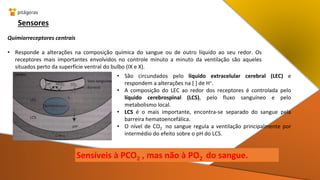 Sensores
Quimiorreceptores centrais
• Responde a alterações na composição química do sangue ou de outro líquido ao seu redor. Os
receptores mais importantes envolvidos no controle minuto a minuto da ventilação são aqueles
situados perto da superfície ventral do bulbo (IX e X).
• São circundados pelo líquido extracelular cerebral (LEC) e
respondem a alterações na [ ] de H+.
• A composição do LEC ao redor dos receptores é controlada pelo
líquido cerebrospinal (LCS), pelo fluxo sanguíneo e pelo
metabolismo local.
• LCS é o mais importante, encontra-se separado do sangue pela
barreira hematoencefálica.
• O nível de CO2 no sangue regula a ventilação principalmente por
intermédio do efeito sobre o pH do LCS.
Sensíveis à PCO2 , mas não à PO2 do sangue.
 