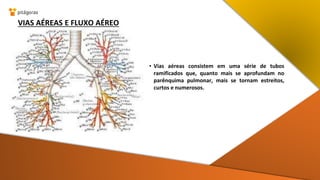 VIAS AÉREAS E FLUXO AÉREO
• Vias aéreas consistem em uma série de tubos
ramificados que, quanto mais se aprofundam no
parênquima pulmonar, mais se tornam estreitos,
curtos e numerosos.
 