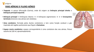 VIAS AÉREAS E FLUXO AÉREO
• Traqueia → possui bifurcação (Carina), onde dá origem ao brônquio principal direito e
brônquio principal esquerdo.
• Brônquio principal → Brônquios lobares → → brônquios segmentares → → → bronquíolos
terminais (menores vias aéreas sem alvéolos).
• Zona condutora: formada pelos ductos condutores e tem como função conduzir o gás
inspirado até regiões pulmonares que façam a hematose.
• Espaço morto anatômico: espaço correspondente à zona condutora das vias aéreas. Possui
volume de 150 ml, aproximadamente.
 