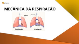 MECÂNICA DA RESPIRAÇÃO
 