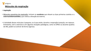 Músculos da respiração
• Inspiração.
• Músculos acessórios da respiração: incluem os escalenos que elevam as duas primeiras costelas e o
esternocleidomastóideo, que realiza a elevação do esterno.
• A atividade desses músculos é pequena, se é que existe, durante a respiração tranquila, em repouso.
Entretanto, com o exercício e em algumas situações patológicas, como no DPOC ou durante quadros
de IRA, podem se contrair de forma vigorosa.
 
