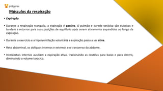 Músculos da respiração
• Expiração.
• Durante a respiração tranquila, a expiração é passiva. O pulmão e parede torácica são elásticas e
tendem a retornar para suas posições de equilíbrio após serem ativamente expandidos ao longo da
expiração.
• Durante o exercício e a hiperventilação voluntária a expiração passa a ser ativa.
• Reto abdominal, os oblíquos internos e externos e o transverso do abdome.
• Intercostais internos auxiliam a expiração ativa, tracionando as costelas para baixo e para dentro,
diminuindo o volume torácico.
 