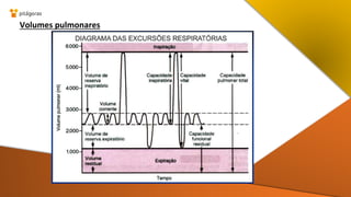 Volumes pulmonares
 