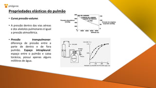 Propriedades elásticas do pulmão
• Curva pressão-volume.
• A pressão dentro das vias aéreas
e dos alvéolos pulmonares é igual
a pressão atmosférica.
• Pressão transpulmonar:
diferença de pressão entre a
parte de dentro e de fora
pulmão. Espaço intrapleural:
espaço entre o pulmão e caixa
torácica, possui apenas alguns
mililitros de água.
 