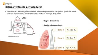 Relação ventilação-perfusão (V/Q)
• Sabe-se que a distribuição dos alvéolos e capilares pulmonares e a ação da gravidade fazem
com que haja diferença entre ventilação e perfusão ao longo do pulmão.
• Região dependente
• Região não dependente
 