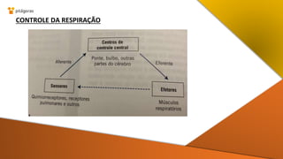 CONTROLE DA RESPIRAÇÃO
 