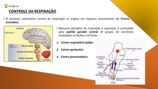 CONTROLE DA RESPIRAÇÃO
• O processo automático normal da respiração se origina em impulsos provenientes do Tronco
Encefálico.
• Natureza periódica da inspiração e expiração é controlada
pelo padrão gerador central → grupos de neurônios
localizados no Bulbo e na Ponte.
1. Centro respiratório bulbar
2. Centro apnêustico
3. Centro pneumotáxico
 