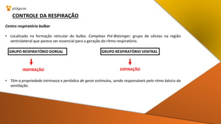 CONTROLE DA RESPIRAÇÃO
Centro respiratório bulbar
• Localizado na formação reticular do bulbo. Complexo Pré-Botzinger: grupo de células na região
ventrolateral que parece ser essencial para a geração do ritmo respiratório.
• Têm a propriedade intrínseca e periódica de gerar estímulos, sendo responsáveis pelo ritmo básico da
ventilação.
GRUPO RESPIRATÓRIO DORSAL GRUPO RESPIRATÓRIO VENTRAL
INSPIRAÇÃO EXPIRAÇÃO
 