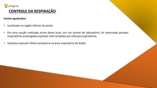 CONTROLE DA RESPIRAÇÃO
Centro apnêustico
• Localizado na região inferior da ponte.
• Em uma secção realizada acima desse local, em um animal de laboratório, foi observada paradas
inspiratórias prolongadas (apnéia) interrompidas por esforços expiratórios.
• Impulsos exercem efeito excitatório na área inspiratória do bulbo.
 