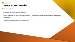 CONTROLE DA RESPIRAÇÃO
Centro pneumtáxico
• Localizado na região superior da ponte.
• Parece “desligar” ou inibir a inspiração. Regula o volume inspirado e, secundariamente, a frequência
respiratória.
• Responsável pela sintonia fina da respiração.
 