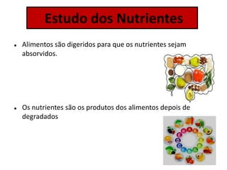  Alimentos são digeridos para que os nutrientes sejam
absorvidos.
 Os nutrientes são os produtos dos alimentos depois de
degradados
Estudo dos Nutrientes
 