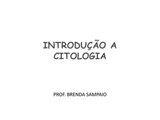 PROF. BRENDA SAMPAIO
 