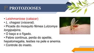 PROTOZOOSES
13
• Leishmaniose (calazar)
• L. chagasi (visceral).
• Picada do mosquito fêmea Lutzomya
longipalpins.
• O baço e o fígado.
• Febre contínua, perda do apetite,
hepatomegalia, lesões na pele e anemia.
• Controle do inseto.
 