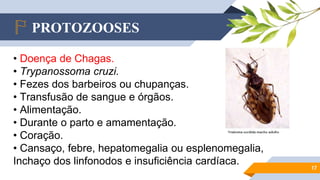 PROTOZOOSES
17
• Doença de Chagas.
• Trypanossoma cruzi.
• Fezes dos barbeiros ou chupanças.
• Transfusão de sangue e órgãos.
• Alimentação.
• Durante o parto e amamentação.
• Coração.
• Cansaço, febre, hepatomegalia ou esplenomegalia,
Inchaço dos linfonodos e insuficiência cardíaca.
 