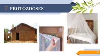 PROTOZOOSES
20
 