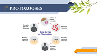 PROTOZOOSES
23
 