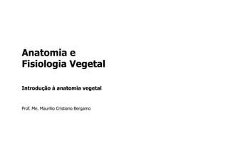 Anatomia e
Fisiologia Vegetal
Introdução à anatomia vegetal
Prof. Me. Maurilio Cristiano Bergamo
 