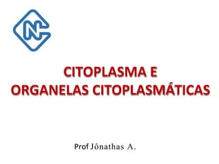 CITOPLASMA E
ORGANELAS CITOPLASMÁTICAS
Prof Jônathas A.
 