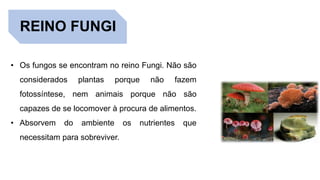 REINO FUNGI
• Os fungos se encontram no reino Fungi. Não são
considerados plantas porque não fazem
fotossíntese, nem animais porque não são
capazes de se locomover à procura de alimentos.
• Absorvem do ambiente os nutrientes que
necessitam para sobreviver.
 