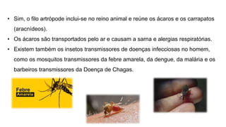 • Sim, o filo artrópode inclui-se no reino animal e reúne os ácaros e os carrapatos
(aracnídeos).
• Os ácaros são transportados pelo ar e causam a sarna e alergias respiratórias.
• Existem também os insetos transmissores de doenças infecciosas no homem,
como os mosquitos transmissores da febre amarela, da dengue, da malária e os
barbeiros transmissores da Doença de Chagas.
 