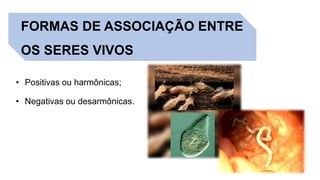 FORMAS DE ASSOCIAÇÃO ENTRE
OS SERES VIVOS
• Positivas ou harmônicas;
• Negativas ou desarmônicas.
 