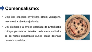 Comensalismo:
• Uma das espécies envolvidas obtém vantagens,
mas a outra não é prejudicada.
• Um exemplo é a ameba chamada de Entamoeba
coli que por viver no intestino do homem, nutrindo-
se de restos alimentares nunca causa doenças
para o hospedeiro.
 